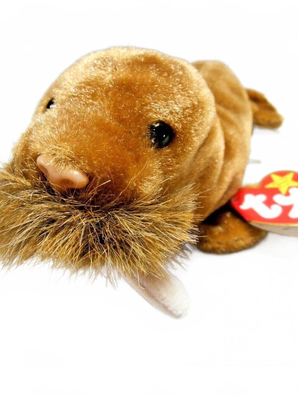 Vintage 1999 Paul the Walrus TY Beanie Baby Plush 8"